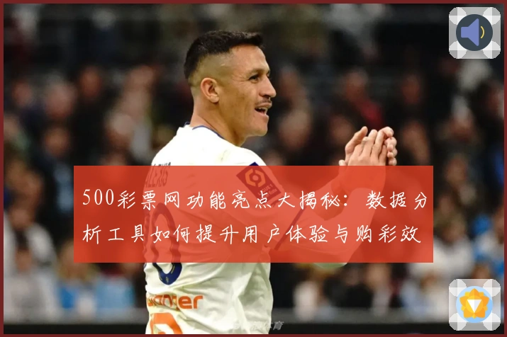 500彩票网功能亮点大揭秘：数据分析工具如何提升用户体验与购彩效率