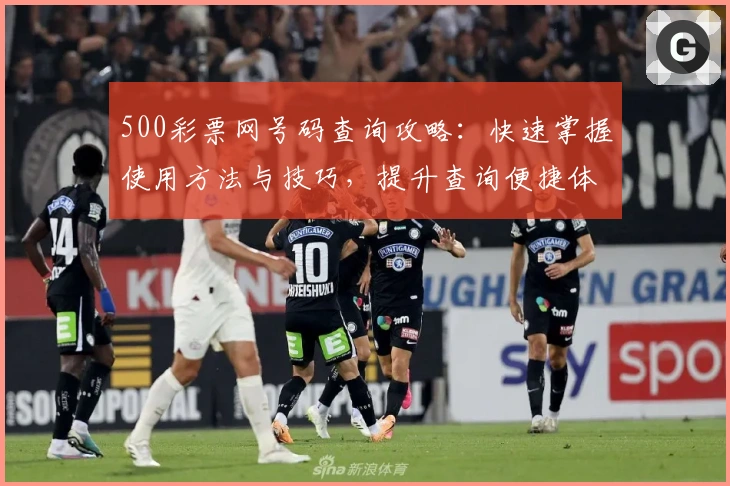 500彩票网号码查询攻略:快速掌握使用方法与技巧,提升查询便捷体验