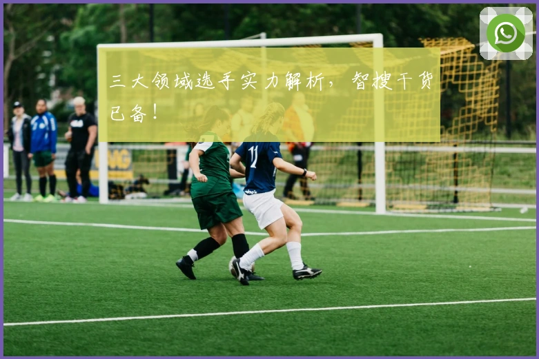 三大领域选手实力解析，智搜干货已备！